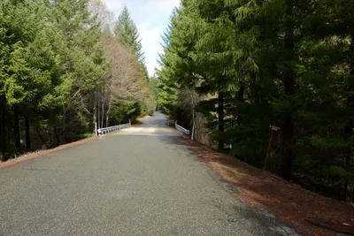 DSC_0897 (Large).JPG